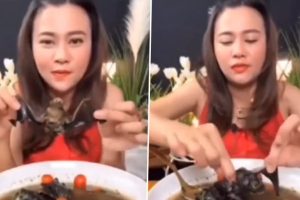 Thai Food Blogger Phonchanok Srisunaklua Sent to Jail for Five Years After Video of Her Eating ‘Bat’ Soup Goes Viral