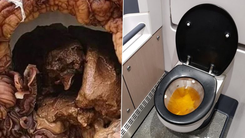 Giant Mysterious ‘Alien’ Growth Blocks Customer’s Toilet in Wales; Plumber Shares Pic of The Bizarre Fungus, Leaves Specialists Stumped (View Tweet)