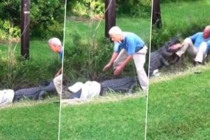 Shocking! Giant Angry Alligator Attacks Old Man Who Tried to Control The Wild Beast with T-Shirt in Viral Video