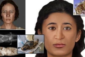 The Mystery Lady! Scientists Reconstruct Face of 'World's First Pregnant Egyptian Mummy' Who Died 2000 Years Ago With Unborn Baby (View Tweet)