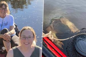 River Monster? Giant Water Creature With Scary 'Bear-Like' Claws Emerges From Depths, Terrifies Mother and Daughter Kayakers in US