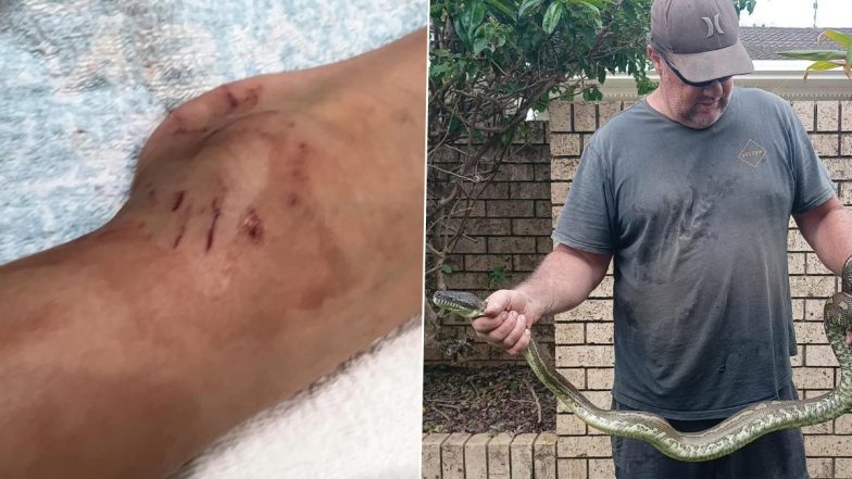 Giant Python Bites and Drags 5-Year-Old Australian Boy into Swimming Pool! The Kid Gets Rescued By His Grandpa (See Pics)