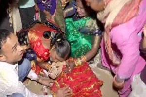 Sheru Weds Sweety: Gurugram Couple Organises Traditional Indian Wedding For Their Pet Dogs (Watch Video)