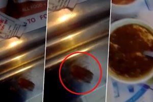 Cockroach Allegedly Found in ‘Daal’ Served to Four-Year-Old Patient at AIIMS in Delhi, Video Goes Viral
