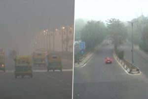 Delhi Winter 2022: Dense Fog in National Capital As Temperature Dips, See Visuals From Lodhi Road, Safdarjung, Airport Flyover and AIIMS