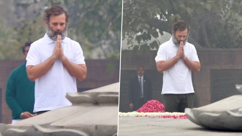 Rahul Gandhi Walks Around in Delhi Wearing T-Shirt Amid Cold Wave, Internet Amazed (See Pics)