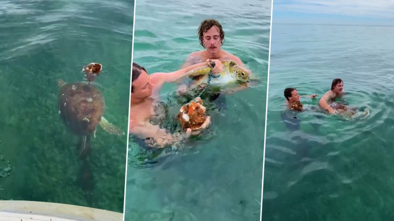 Two Men Rescue Sea Turtle Stuck in Fishing Net; Netizens Love This Gesture of Kindness Towards the Marine Creature (Watch Video)