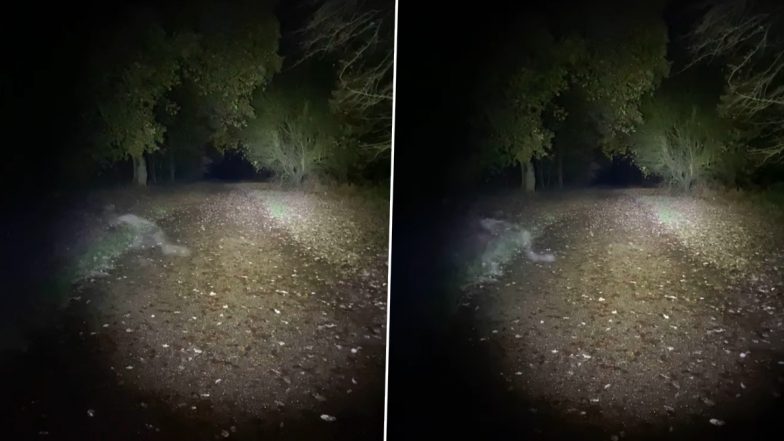 'Demonic Ghost' Caught on Camera? British Couple Claims to See Spooky Figure Crawling on Its Long Limbs in Haunted Park in England; Watch Viral Video