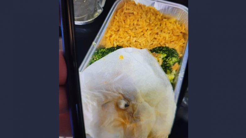 ‘Dental Implant’ Wrapped in Tissue Found in British Airways Meal! Dubai Woman Calls The Bizarre Discovery ‘Appalling’