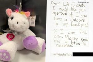 First-Ever License To Own a 'Unicorn' Granted to 6-Year-Old Girl in US; Los Angeles Department Specifies Conditions to Keep The Mythical Creature