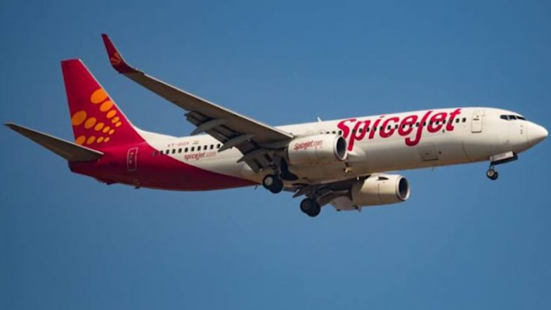 SpiceJet Pilot Makes In-Flight Announcement in Funny Hindi Poetry, Video Leaves Netizens Mesmerised