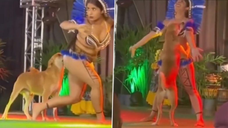 Dog Comes in Between Dance Performance on Stage, Interrupts The Contestant; Netizens Praise Dancer’s Composure in Viral Video