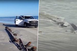 Mysterious 80 Feet Big Object Composed of Wood and Metal Discovered By Beachgoers in Florida, Gets Local Residents Buzzing With Confusion (Watch Video)