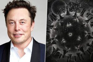 Year Ender 2022: From Zombie Virus Discovery to Elon Musk Twitter Takeover and Creation of Artificial Sun, List of Mega Events of Tech and Science World