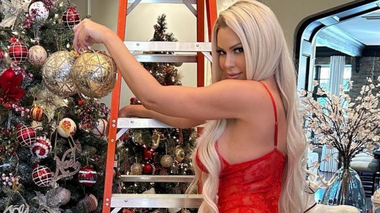 ‘Sexy Santa’ WWE Star Maryse Mizanin Takes Instagram by Storm After Winning ‘Ladder Match’; Check Super Hot Pic