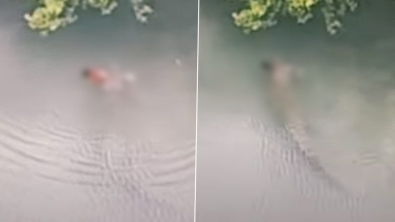 Disturbing Video: Baby Boy Eaten Alive by Crocodile in Front of Father During Fishing in Malaysia, Heart-Wrenching Visuals Go Viral