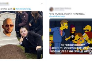#smalldickenergy Trending After Greta Thunberg Ratioed Andrew Tate With 'Tweet of The Year,' Netizens Share Funny Memes and Jokes