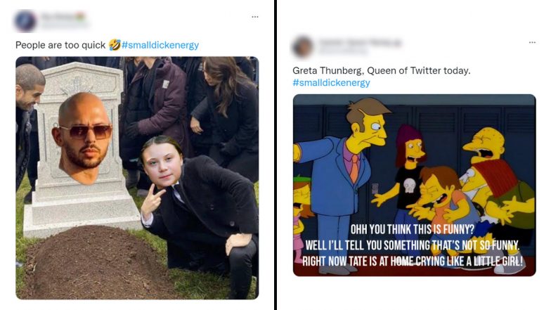 #smalldickenergy Trending After Greta Thunberg Ratioed Andrew Tate With ‘Tweet of The Year,’ Netizens Share Funny Memes and Jokes