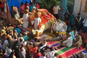 Elephant Lakshmi of Sri Manakula Vinayagar Temple Dies of Cardiac Arrest in Puducherry; Crowd Gathers To Pay Last Respects to The Majestic Creature (Watch Video)