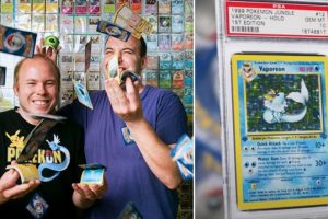 Danish Brothers Assemble the Largest Collection of Pokémon Cards in the World With 32k Cards; View Tweet
