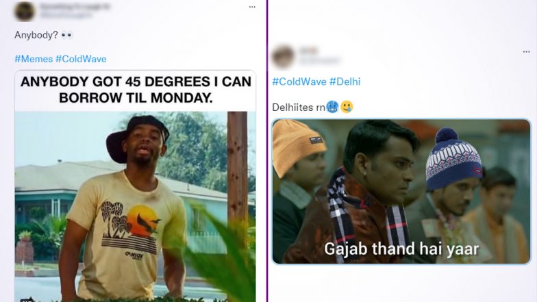 Cold Wave in Delhi Funny Memes and Hilarious Jokes Go Viral As North India Tries To Deal With the Brutal Winter Weather