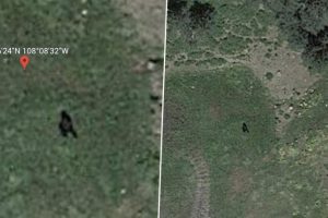Bigfoot Spotted? Viral Reddit Post Claims To Have Discovered Shadow of The Mythical Beast on Google Earth; See Pics