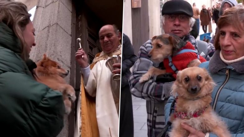 St Anthony Blesses Animals As People in Madrid Bring Their Pets to the Gathering To Mark St Anthony’s Day; Watch the Viral Video