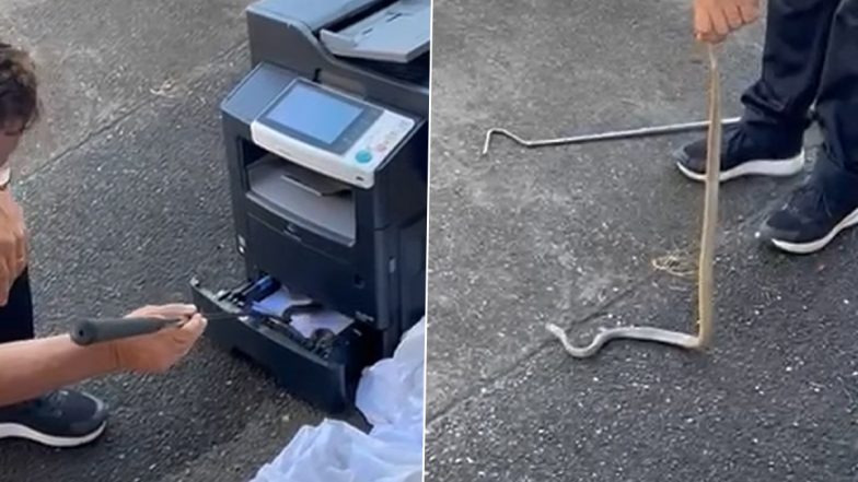 Venomous Eastern Brown Snake Found Hiding Inside Printer Paper Drawer By Frightened Receptionist; Watch Viral Video 