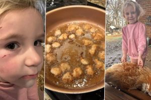 Pet Rooster Turned Into Dinner By Mom and Eaten After It Allegedly Attacked Her Daughter in Mississippi; Internet Has Its Say (See Viral Pics)
