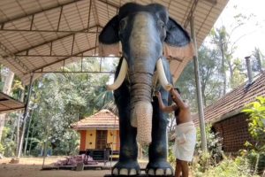 Kerala: IIrinjadappilly Sri Krishna Temple Replaces Elephant With 800 kg Robot for Rituals (See Pics)