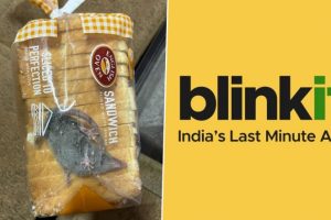 Man Finds live Rat Inside Packet of Bread Delivered by Blinkit (See Pics)