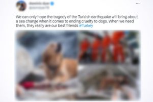 Viral Photo of Dog Sitting Besides Person Trapped Under Debris Wrongly Attributed To Turkey Earthquake, Here's a Fact Check