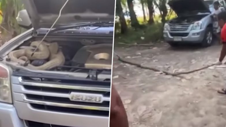 Giant Cobra Comfortably Sits in Car's Engine, Viral Snake Video From Thailand Will Make You Shriek in Horror!