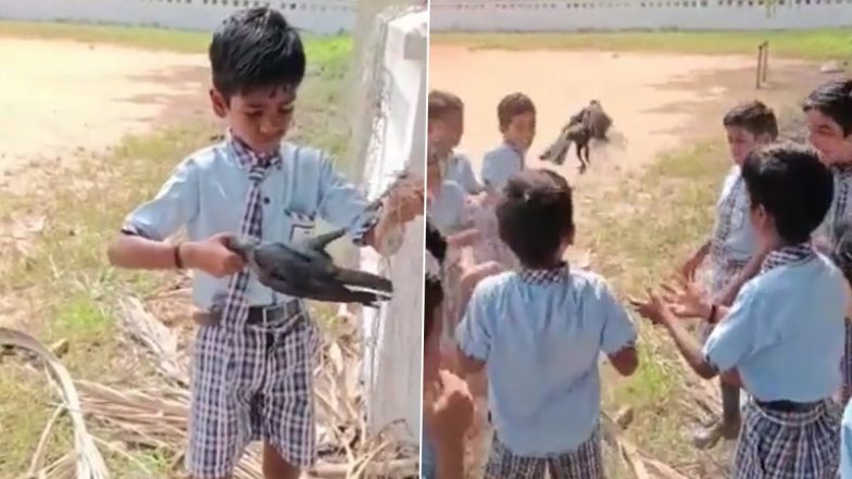 Viral Video: Young School Boy Help Crow Escape From Entangled Football Net