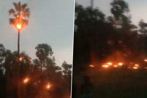 Mumbai Rains: Palm Tree Catches Fire After Lightning Strikes in Palghar, Breathtaking Video of Blaze Goes Viral