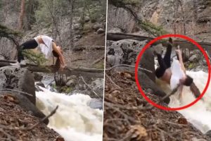 Woman Performing Yoga on Tree Falls Down in Stream, Horrifying Old Video Goes Viral