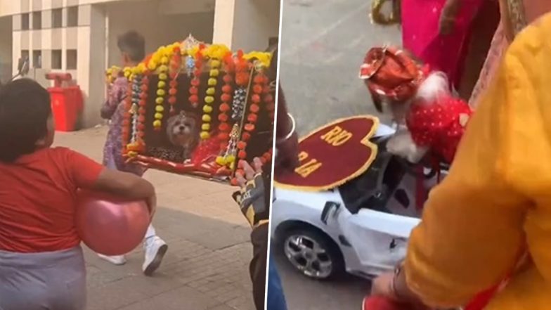 Navi Mumbai: Old Video of Dogs Grand Luxurious Wedding Goes Viral, Groom Drives Kids Car, Bride in Palenque