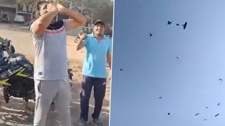 Bhopal Man Can Call Crows in Seconds by Imitating Crow Sound, Video of Crow Whisperer Goes Viral