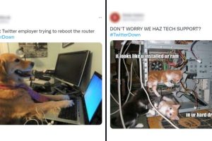Twitter Down Funny Memes: Twitterati Flood Micro-Blogging Site With Hilarious Tweets and Jokes After Global Outage