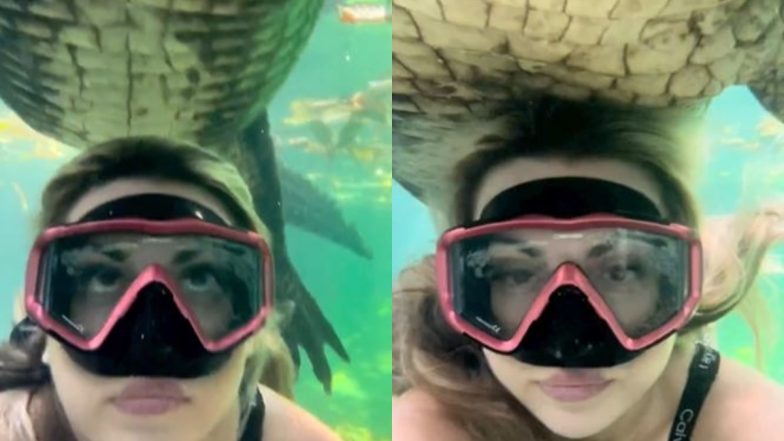 Woman Calmly Swims Underneath Giant Alligator, Spine-Chilling Video Goes Viral