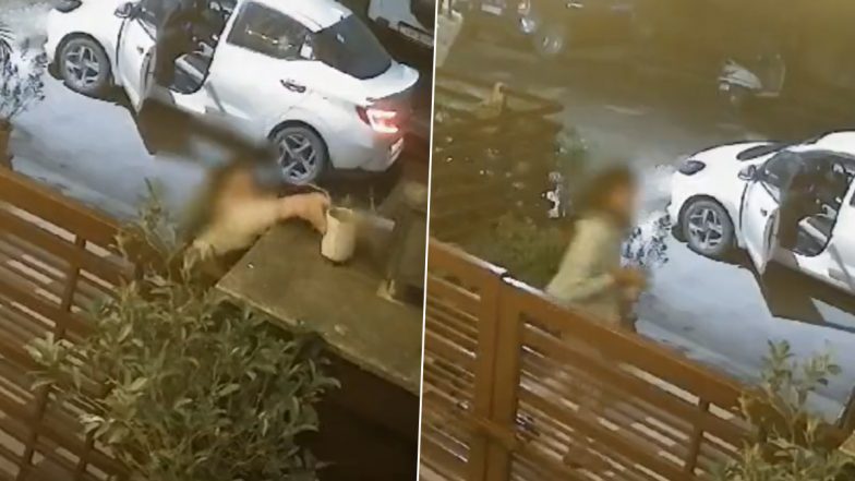 Punjab Theft Video: Two Women Steal Flower Pots From House in Mohali, Viral Clip Surfaces