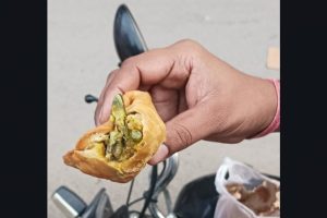Dead Lizard Found Inside Samosa Purchased From Local Sweet Shop in Uttar Pradesh's Hapur, Photo Surfaces