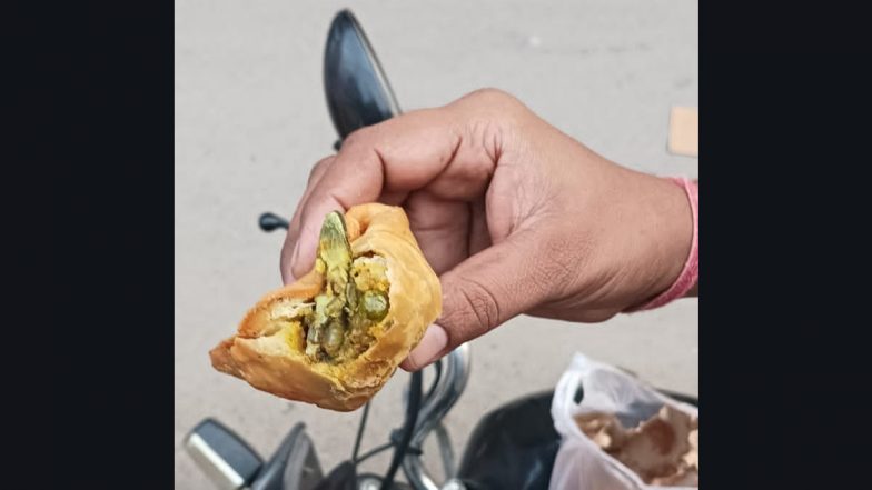 Dead Lizard Found Inside Samosa Purchased From Local Sweet Shop in Uttar Pradesh's Hapur, Photo Surfaces