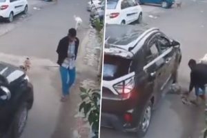 Ghaziabad: Dog Suffers Painful Death After Being Run Over by Car in Indirapuram, Disturbing CCTV Video Goes Viral