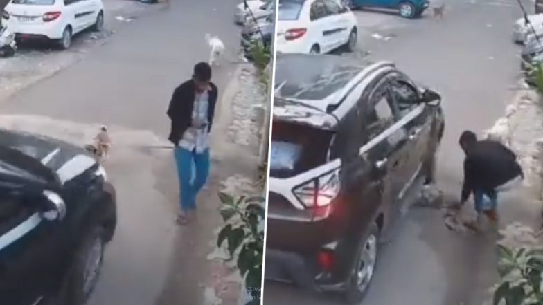 Ghaziabad: Dog Suffers Painful Death After Being Run Over by Car in Indirapuram, Disturbing CCTV Video Goes Viral