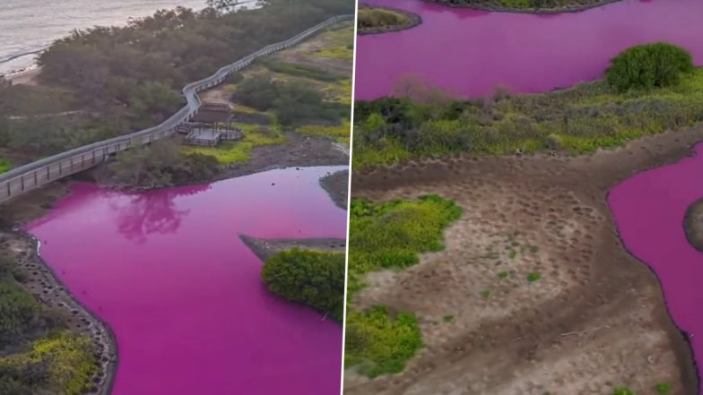 Hawaii: Pond Mysteriously Turns ‘Barbie’ Pink in Maui, Scientists Warn People Against Entering or Drinking Water as Videos Go Viral